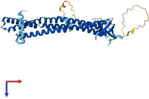SH3GL3 Protein (AA 1-347) (His tag)