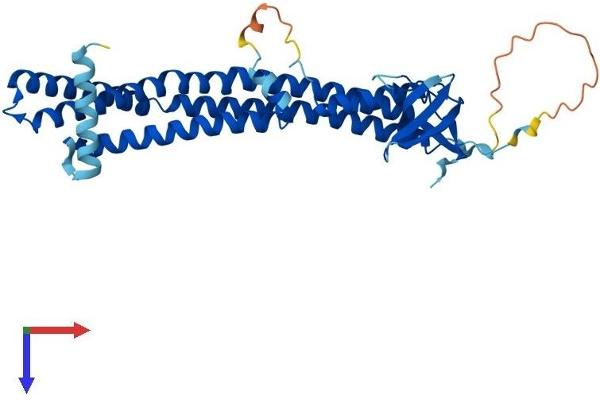 SH3GL3 Protein (AA 1-347) (His tag)
