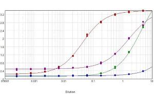ELISA results of purified Goat anti-Mouse IgG Antibody Min X human serum tested against purified Mouse IgG.