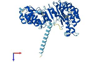 AlphaFold protein structure predicition of Human Recombinant LRRC14B Protein, UniprotID A6NHZ5