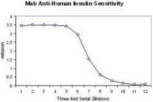 Image no. 1 for anti-Insulin (INS) antibody (ABIN129507) (Insulin 抗体)