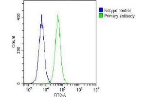 Overlay histogram showing Hela cells stained with (ABIN650616 and ABIN2844786) (green line). (IGF2 抗体  (AA 39-68))