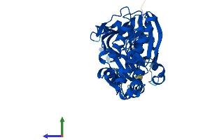 Protein Structure (PS) image for Pantothenate Kinase 3 (PANK3) (AA 1-370) protein (His tag) (ABIN7550493)