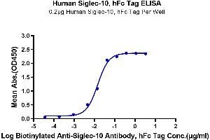 Immobilized Human Siglec-10 at 2 μg/mL (100 μL/Well) on the plate. (SIGLEC10 Protein (AA 17-546) (Fc-Avi Tag))