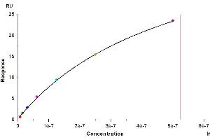 Surface Plasmon Resonance (SPR) image for Fc Fragment of IgG, Low Affinity IIIb, Receptor (CD16b) (FCGR3B) (AA 17-200) protein (His-Avi Tag) (ABIN7274600)