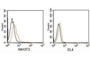 FACS testing of Rabbit IgG isotype control antibody PE conjugate on mouse samples. (兔 IgG isotype control (PE))