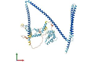 AlphaFold protein structure predicition of Human Recombinant CCDC22 Protein, UniprotID O60826 (CCDC22 Protein (AA 1-627) (His tag))