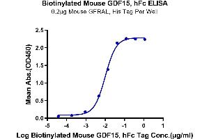 ELISA image for Growth Differentiation Factor 15 (GDF15) (AA 189-303) protein (Fc Tag,Biotin) (ABIN7274730)