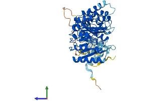 AlphaFold protein structure predicition of Human Recombinant PRAMEF7 Protein, UniprotID Q5VXH5