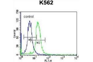 Flow Cytometry (FACS) image for anti-StAR-Related Lipid Transfer (START) Domain Containing 5 (STARD5) (AA 33-63), (N-Term) antibody (ABIN954973)