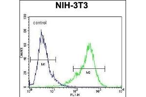 KI Antibody (C-term) (ABIN654471 and ABIN2844205) flow cytometric analysis of NIH-3T3 cells (right histogram) compared to a negative control cell (left histogram). (KIAA1609 抗体  (C-Term))