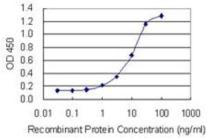 Detection limit for recombinant GST tagged NBEA is 0. (Neurobeachin 抗体  (AA 1133-1220))