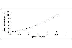 Typical standard curve (SLC40A1 ELISA 试剂盒)