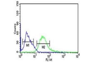 PHGDH antibody flow cytometric analysis of Ramos cells (green) compared to a negative control (blue). (PHGDH 抗体  (AA 249-277))