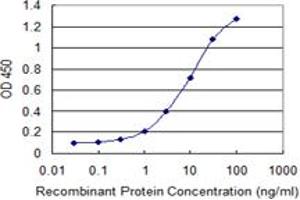 Detection limit for recombinant GST tagged IL15RA is 0. (IL15RA 抗体  (AA 31-130))