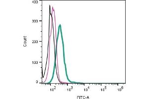 Cell surface detection of ACE2 by direct flow cytometry in live intact human  monocytic leukemia cell line: + Rabbit IgG Isotype Control-FITC (ABIN7582044).