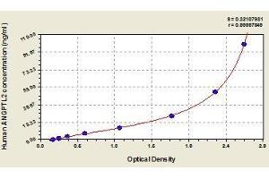 ELISA image for Angiopoietin-Like 2 (ANGPTL2) ELISA Kit (ABIN578045)