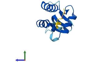 Protein Structure (PS) image for SH3 Domain Binding Glutamic Acid-Rich Protein Like 2 (SH3BGRL2) (AA 1-107) protein (His tag) (ABIN7558531)
