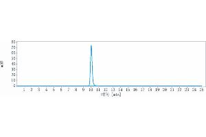The purity of Anti-PVRIG Reference Antibody (GSK4381562) is more than 95 % , determined by SEC-HPLC. (Recombinant PVRIG 抗体)