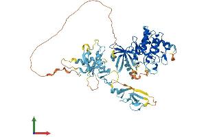 AlphaFold protein structure predicition of Mouse Recombinant Limk1 Protein, UniprotID P53668