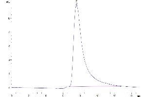 The purity of Biotinylated Human IL-5 is greater than 95 % as determined by SEC-HPLC.