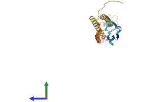 Protein Structure (PS) image for Outer Dense Fiber of Sperm Tails 1 (ODF1) (AA 1-250) protein (His tag) (ABIN7550342)