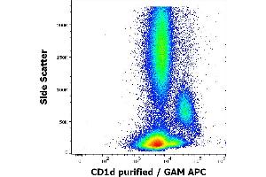 Flow cytometry surface staining pattern of human peripheral whole blood stained using anti-human CD1d (51. (CD1d 抗体)