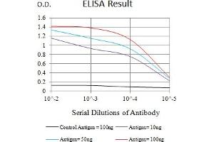 Black line: Control Antigen (100 ng),Purple line: Antigen (10 ng), Blue line: Antigen (50 ng), Red line:Antigen (100 ng) (IGF2R 抗体  (AA 160-311))