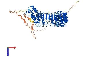 FBXL7 Protein (AA 1-491) (His tag)