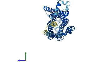 Protein Structure (PS) image for Trace Amine Associated Receptor 1 (TAAR1) (AA 1-339) protein (His tag) (ABIN7555695)