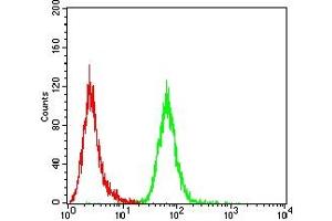 Flow Cytometry (FACS) image for anti-Albumin (ALB) (AA 410-609) antibody (ABIN7193632)