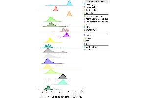 Expression profiling on peripheral blood subsets using anti-human CD16 purified antibody (clone MEM-168). (CD16 抗体)