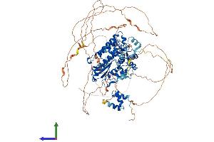 Protein Structure (PS) image for Cas-Br-M (Murine) Ecotropic Retroviral Transforming Sequence (CBL) (AA 1-906) protein (His tag) (ABIN7553184)