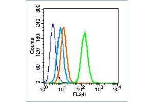 HL-60 cells probed with Insulin Receptor alpha Antibody, unconjugated  at 1:100 dilution for 30 minutes compared to control cells (blue) and isotype control (orange) (ISR-alpha 抗体  (AA 701-760))