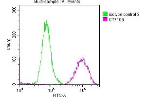 Overlay histogram showing A549 cells stained with ABIN7127602 (red line) at 1:50. (Recombinant LOXL2 抗体)