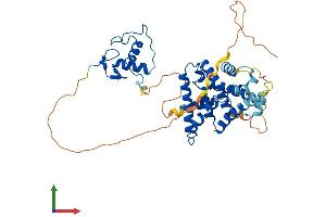 AlphaFold protein structure predicition of Mouse Recombinant Nr2f2 Protein, UniprotID P43135
