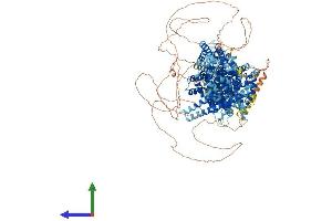 Protein Structure (PS) image for THO Complex 2 (THOC2) (AA 1-1594) protein (His tag) (ABIN7562041)