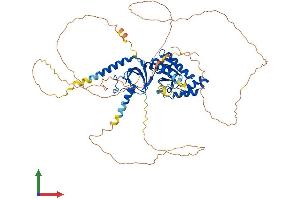 Protein Structure (PS) image for Calcium Channel, Voltage-Dependent, beta 2 Subunit (CACNB2) (AA 1-655) protein (His tag) (ABIN7559242)