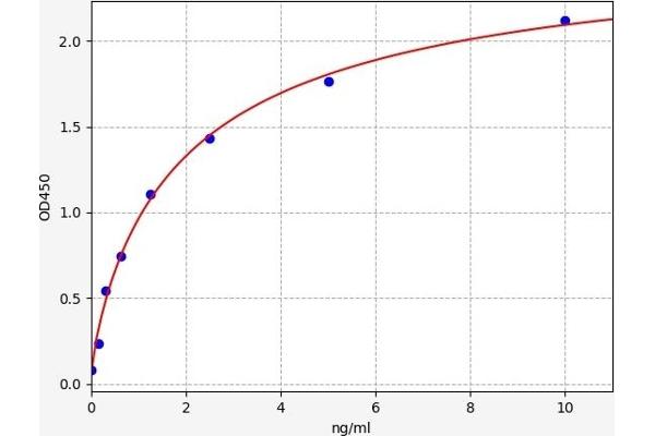 Kallikrein 1 ELISA 试剂盒