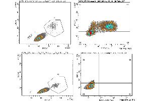 Anti-Human IL-6 Antibody - Flow Cytometry Human PBMCs were stimulated with 1ug/mL LPS and a transport inhibitor for 4-5 hours. (IL-6 抗体)