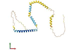 AlphaFold protein structure predicition of Mouse Recombinant Tpd52l2 Protein, UniprotID Q9CYZ2