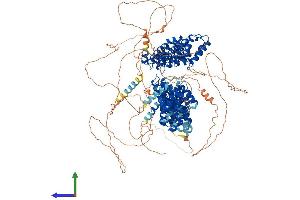Protein Structure (PS) image for Cytoplasmic Linker Associated Protein 2 (CLASP2) (AA 1-1294) protein (His tag) (ABIN7553388)