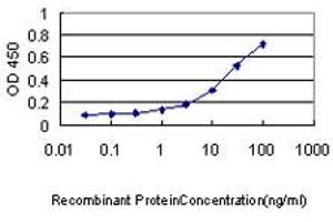 Detection limit for recombinant GST tagged KHK is approximately 0. (Ketohexokinase 抗体  (AA 1-298))