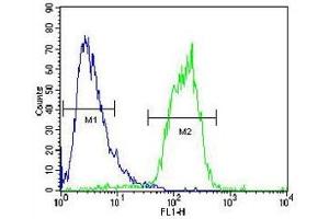 ACOT11 antibody flow cytometric analysis of human HepG2 cells (right histogram) compared to a negative control (left histogram). (ACOT11 抗体  (AA 549-575))