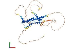 Protein Structure (PS) image for PBX/knotted 1 Homeobox 1 (PKNOX1) (AA 1-436) protein (His tag) (ABIN7550802)