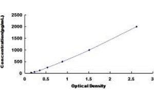 Typical standard curve (CLCF1 ELISA 试剂盒)