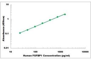 Representative Standard Curve (FGFBP1 ELISA 试剂盒)