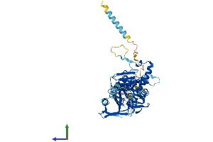 Protein Structure (PS) image for beta-1,4-N-Acetyl-Galactosaminyl Transferase 1 (B4GALNT1) (AA 1-533) protein (His tag) (ABIN7552548)