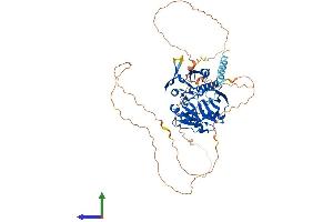 AlphaFold protein structure predicition of Human Recombinant SYN3 Protein, UniprotID O14994