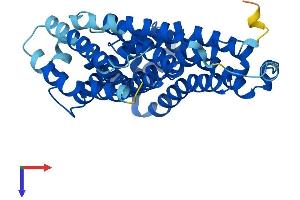 Transmembrane 6 Superfamily Member 1 (TM6SF1) (AA 1-370) protein (His tag)